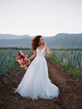 Allure Wilderly Adara #0 default thumbnail
