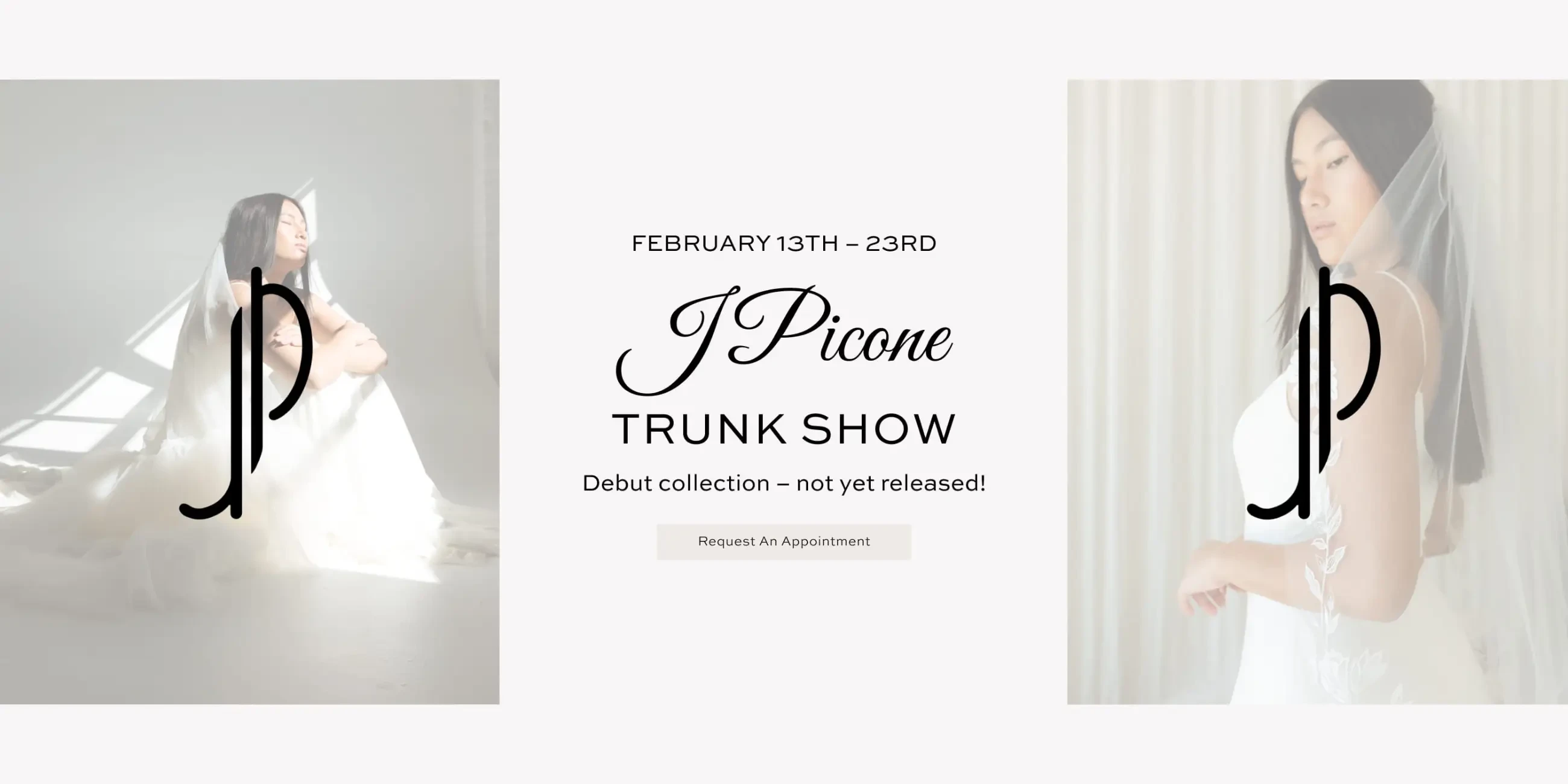 J Picone Trunk Show Banner for Desktop