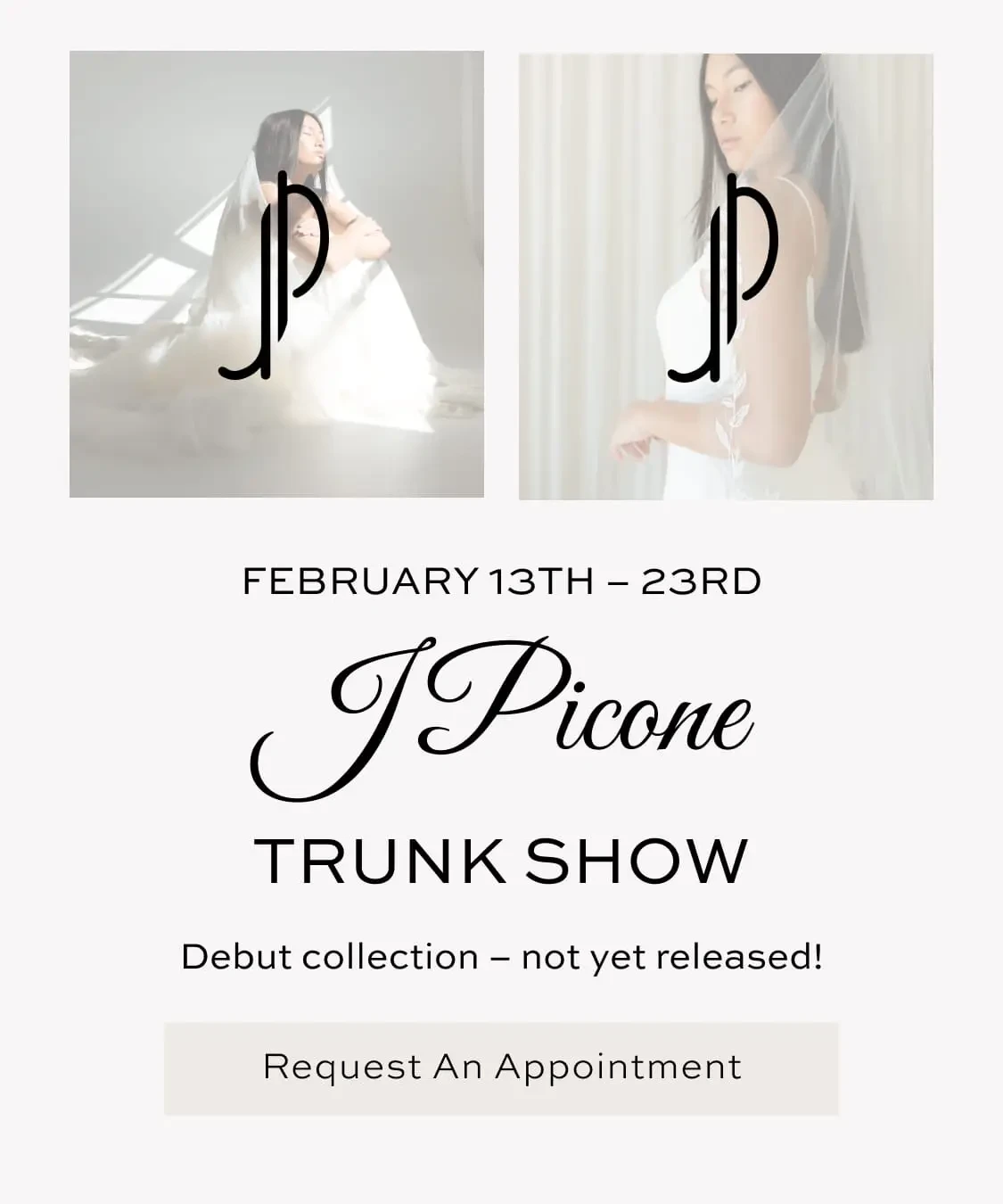 J Picone Trunk Show Banner for Mobile